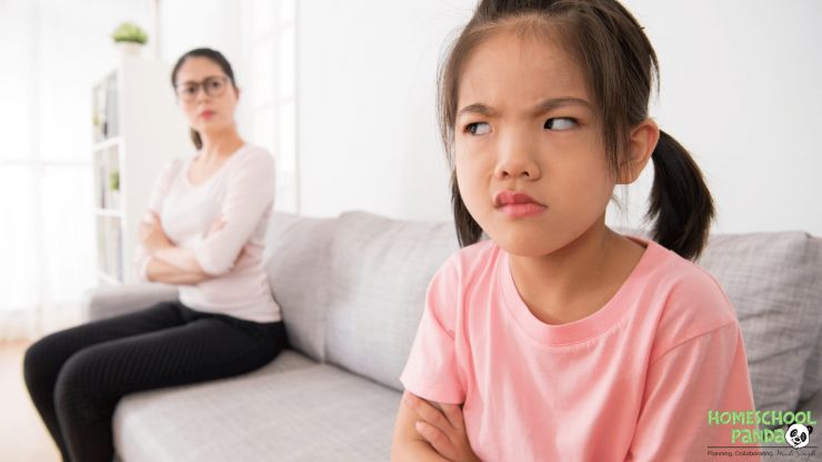 Top 5 Reasons Why You Should NOT Homeschool top-5-reasons-why-not-homeschool